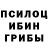 Псилоцибиновые грибы Magic Shrooms Salamov 2008