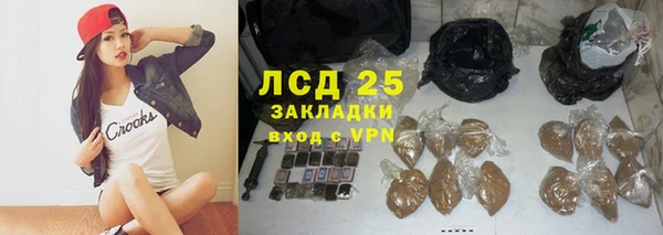 прущие грибы Костерёво
