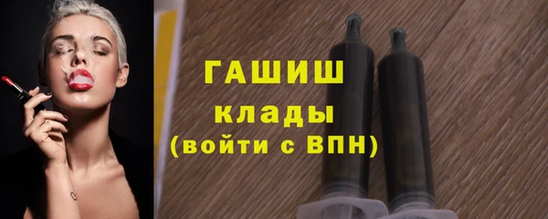 гидра Коряжма