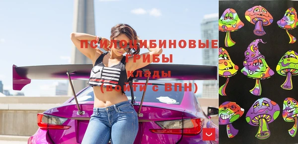 кокс Корсаков
