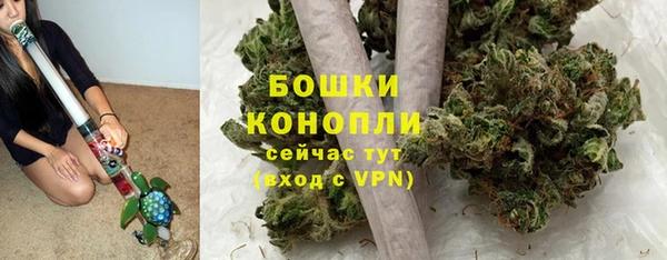 прущие грибы Костерёво