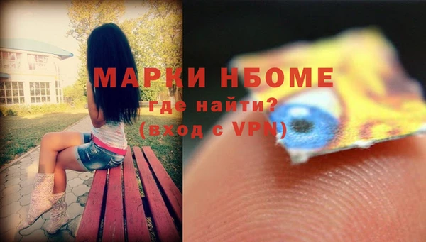 прущие грибы Костерёво