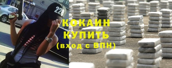 гидра Коряжма