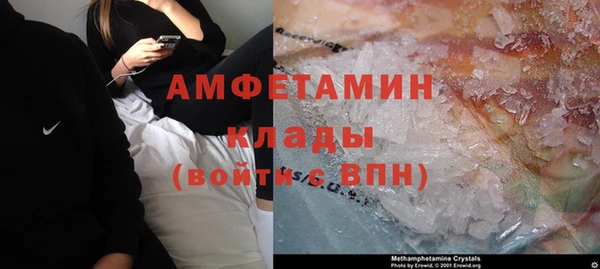 прущие грибы Костерёво