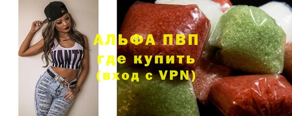 гидра Коряжма