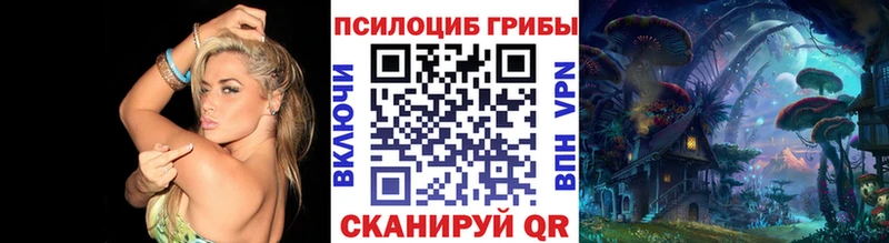 Галлюциногенные грибы MAGIC MUSHROOMS  Купить где  Моршанск 